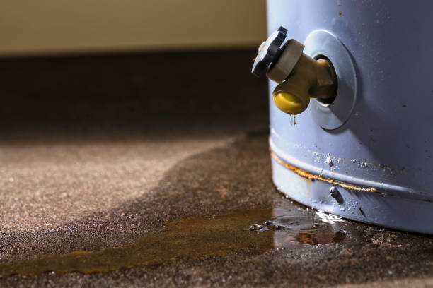 Best Flood restoration services  in Centrevle, IL