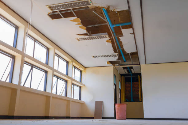 Best Commercial water damage restoration  in Centrevle, IL