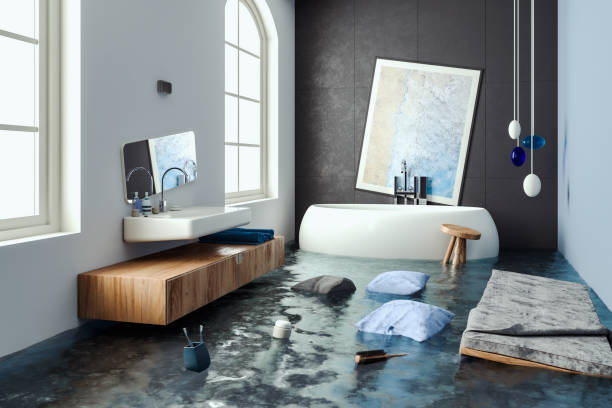 Best Water damage restoration insurance claims  in Centrevle, IL