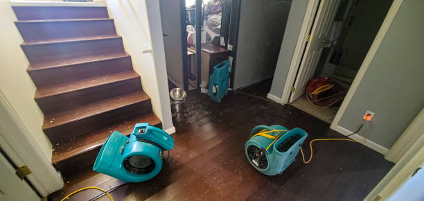 Best Flood damage cleanup  in Centrevle, IL