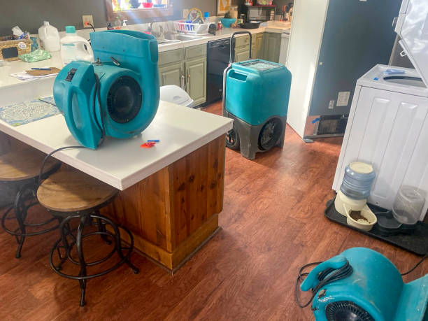Best Water damage restoration near me  in Centrevle, IL