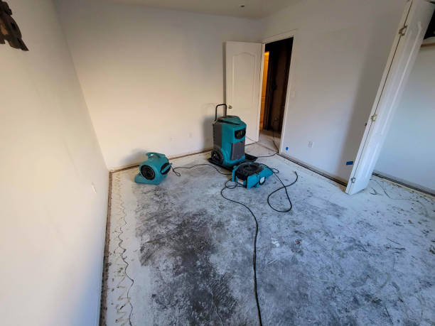 Best Sewage cleanup and water damage restoration  in Centrevle, IL