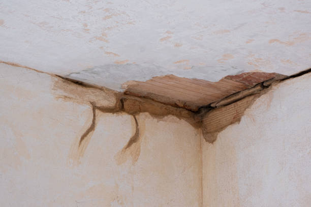 Best Flooded house restoration  in Centrevle, IL