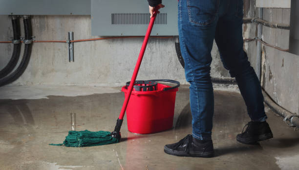Best 24/7 water damage repair  in Centrevle, IL