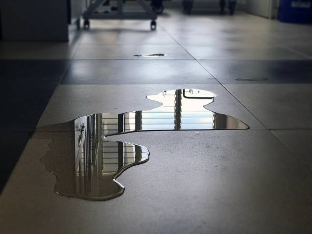 24/7 water damage repair in Centreville, IL
