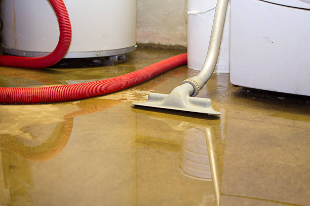 Best Ceiling water damage repair  in Centrevle, IL