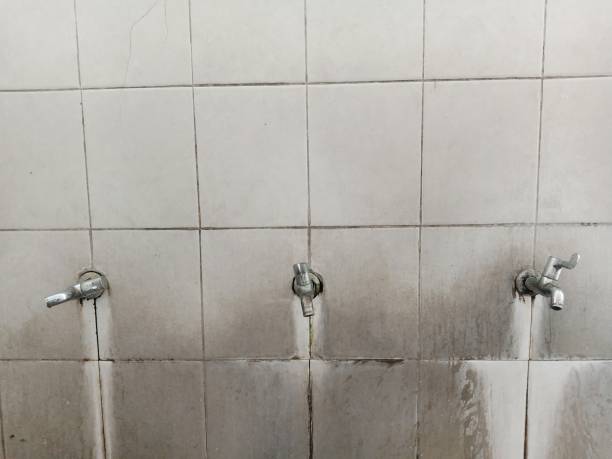 Best Residential water damage restoration  in Centrevle, IL