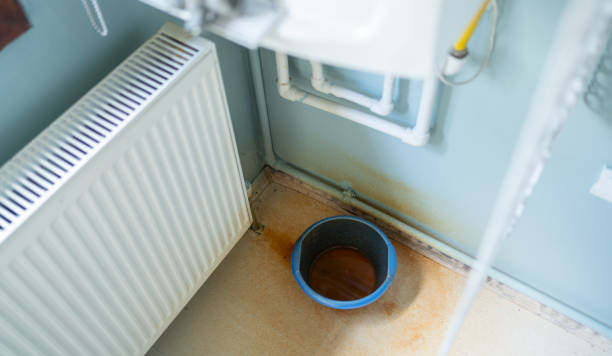 Best Water damage contractors near me  in Centrevle, IL