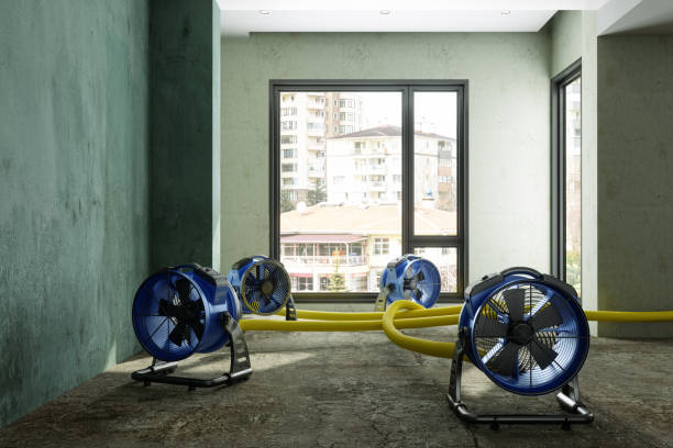 Best Carpet water damage restoration  in Centrevle, IL