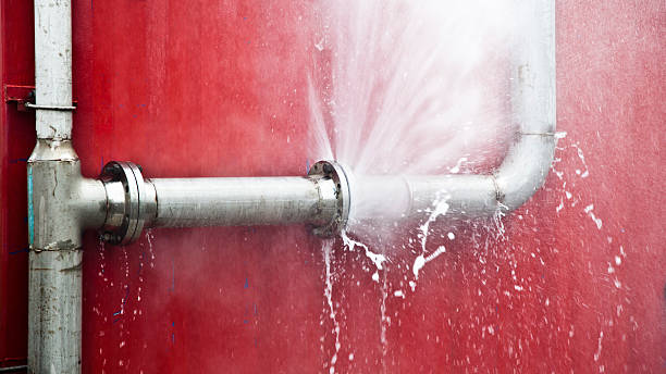 Best Water damage repair service  in Centrevle, IL
