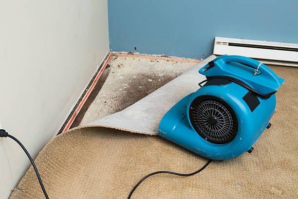 Best Basement water damage restoration  in Centrevle, IL